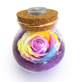 Rose Bloom™ - LED Bottle Lamp
