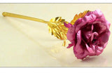 Everlasting Gold Rose - 24K Gold Plated