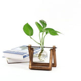 Glass Terrarium Tabletop Planeter
