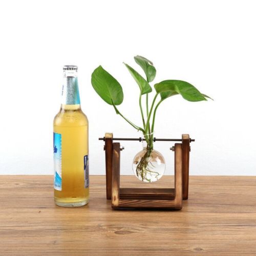 Glass Terrarium Tabletop Planeter