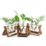 Glass Terrarium Tabletop Planeter