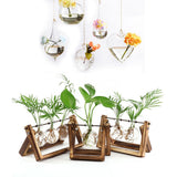 Glass Terrarium Tabletop Planeter