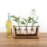 Glass Terrarium Tabletop Planeter