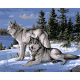 Wolf DIY-Van-Go-Paint-by-Number Kit