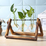 Glass Terrarium Tabletop Planeter
