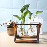 Glass Terrarium Tabletop Planeter