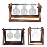 Glass Terrarium Tabletop Planeter