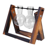 Glass Terrarium Tabletop Planeter