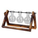 Glass Terrarium Tabletop Planeter