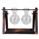 Glass Terrarium Tabletop Planeter