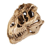 Resin Dinosaur Skull Model