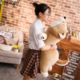 Shiba Plush Pillow