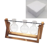 Glass Terrarium Tabletop Planeter