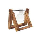 Glass Terrarium Tabletop Planeter