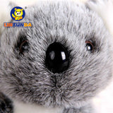 Koala Bear Plush